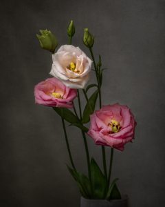 rose art